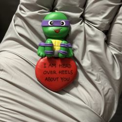 Valentines Day Ninja Turtle 