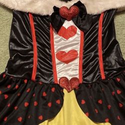 Costume Sz. S. 10-15. Years