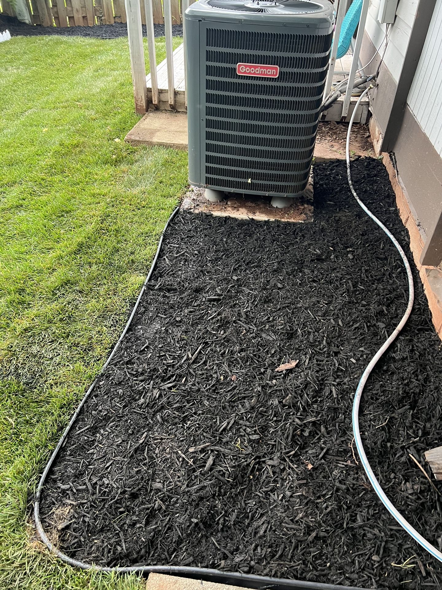 Fresh Sod Cut Every