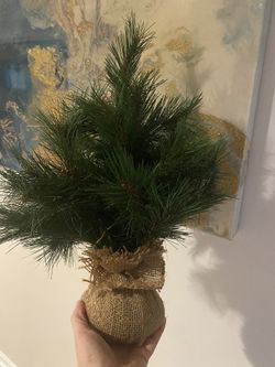 3 Christmas Trees 19” Tall Each 