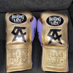 No Boxing No Life Horse Hair Fight Gloves Canelo Edition