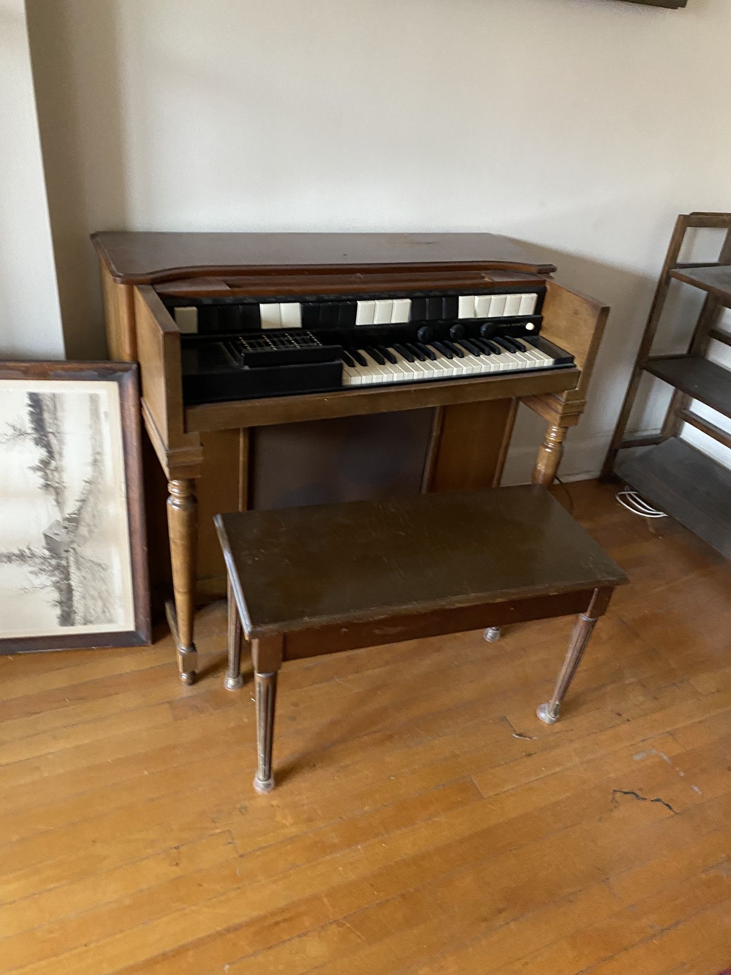 Organ