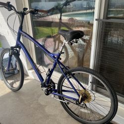 Men’s Globe Blue Bike