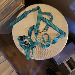 Dog Leash And Collar