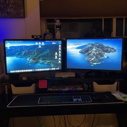 LG Ultrafine Monitors 23.7” (X2)