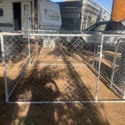 Dog Run 