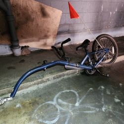 Bike Trailer