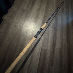 Daiwa DX 8’ Inshore Fishing Casting Rod New. 