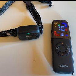 Dog Shock Collar - 1600FT Dog Training Collar with Remote Color Screen, IPX7 Waterproof Electric Collar with 4 Training Modes, Security Lock, Recharge