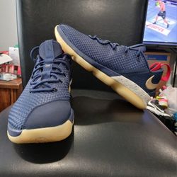 Nike Lebron 14 Low. Navy/Gold/Red. Men Size 12.
