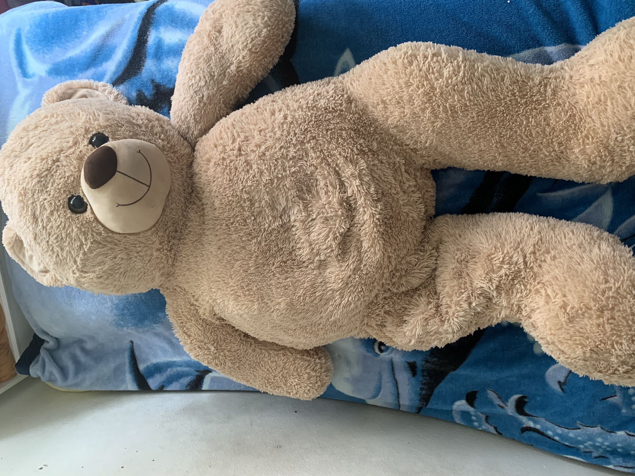 Stuffed Animal ( Teddy Bear)