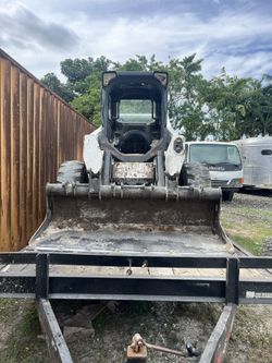 Bobcat