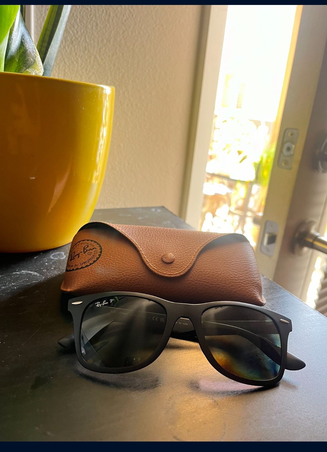 Ray Ban RB4195 Polarized Wayfarer Liteforce Sunglasses