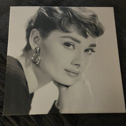 Audrey Hepburn Picture