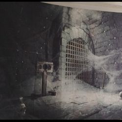 Garage Door Cover 2$