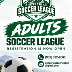 Soccer 