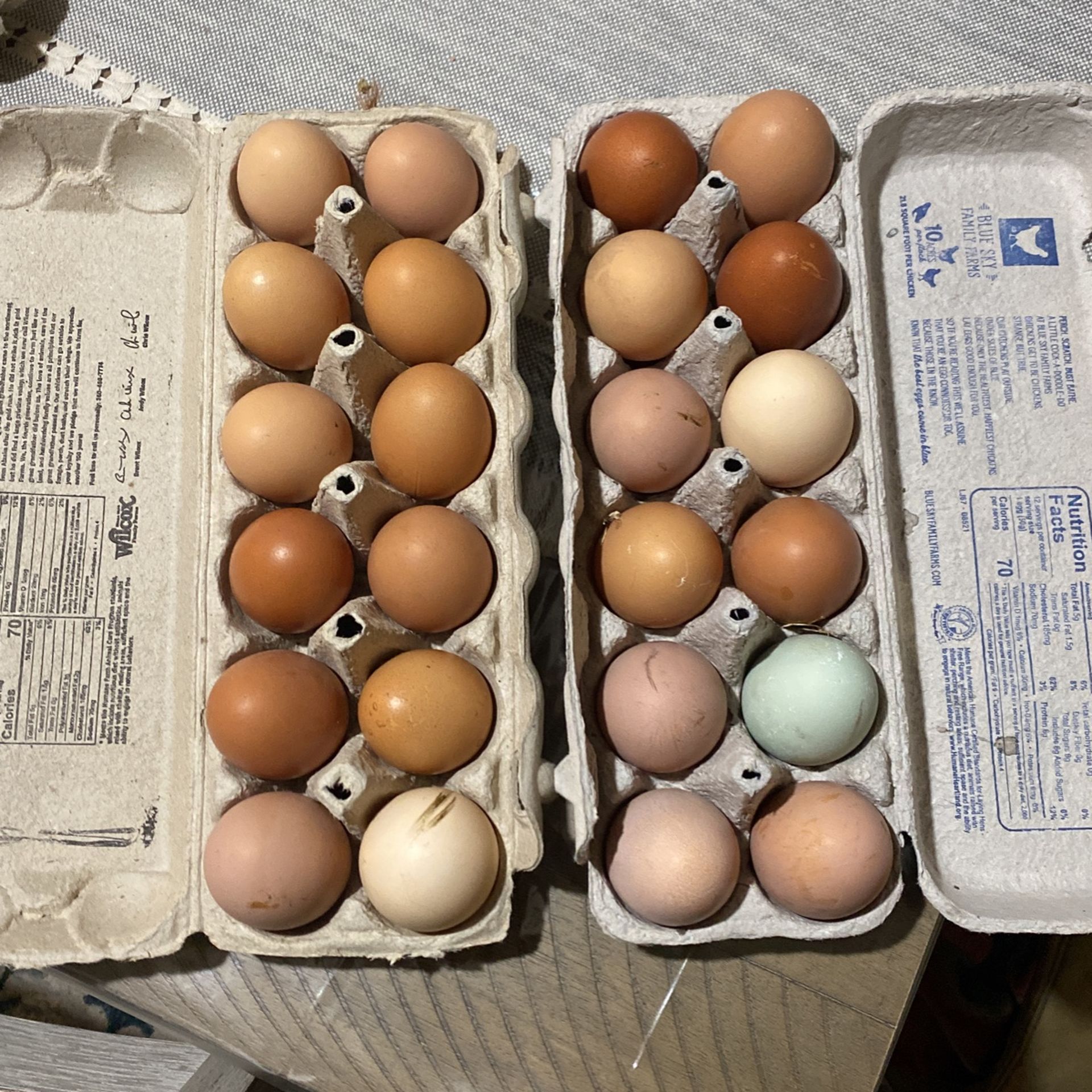 Fresh eggs
