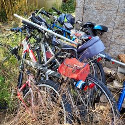 Bikes 
