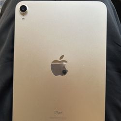 iPad Mini 6