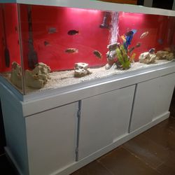 Fish Tank 125g