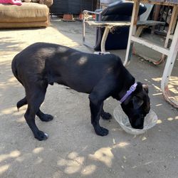 Alguien Lo Reconoce?