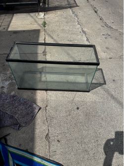 fish tank