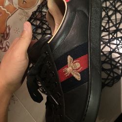 Gucci Shoe