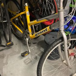 Giant (Sedona). Wms Sz L