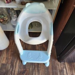 Potty Training Seat