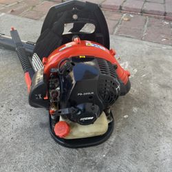 Echo Blower 