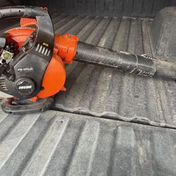 Echo Leaf Blower