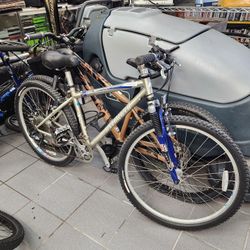 Specialized Rockhopper Mountain Bike  Bicycle