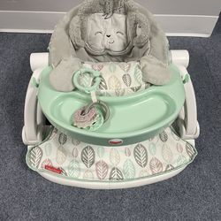 Fisher Price Monkey Baby Seat