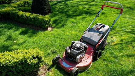Affordable Lawncare equipment $20