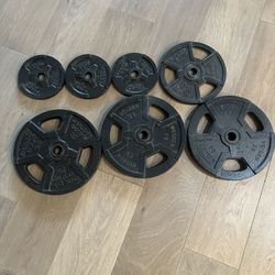 Weight Plate Set 