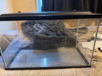 10 Glass Fish Tank with Black Lid