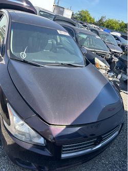 Hood 2014 Nissan maxima burgundy