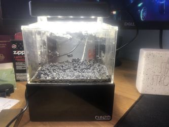 Mini Complete Tank/aquarium