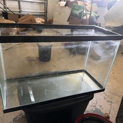 30 Gallon Fish Tank