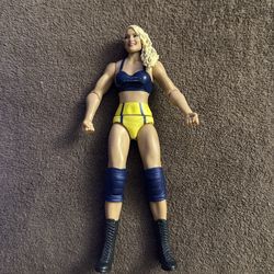 WWE Lacey Evan’s Basic series 119 Action Figure