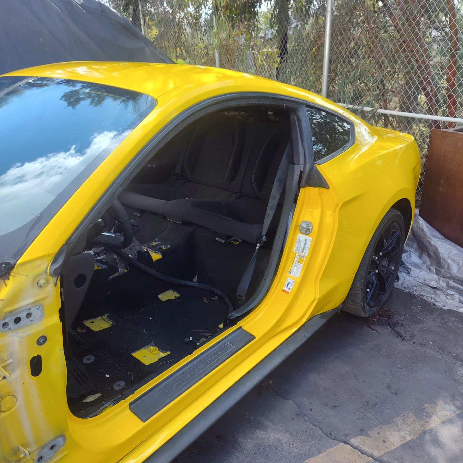 Back of Mustang GT