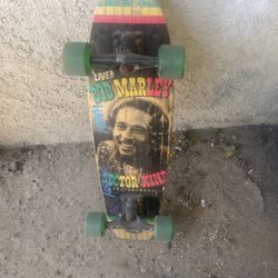 Long Board Skate Board 