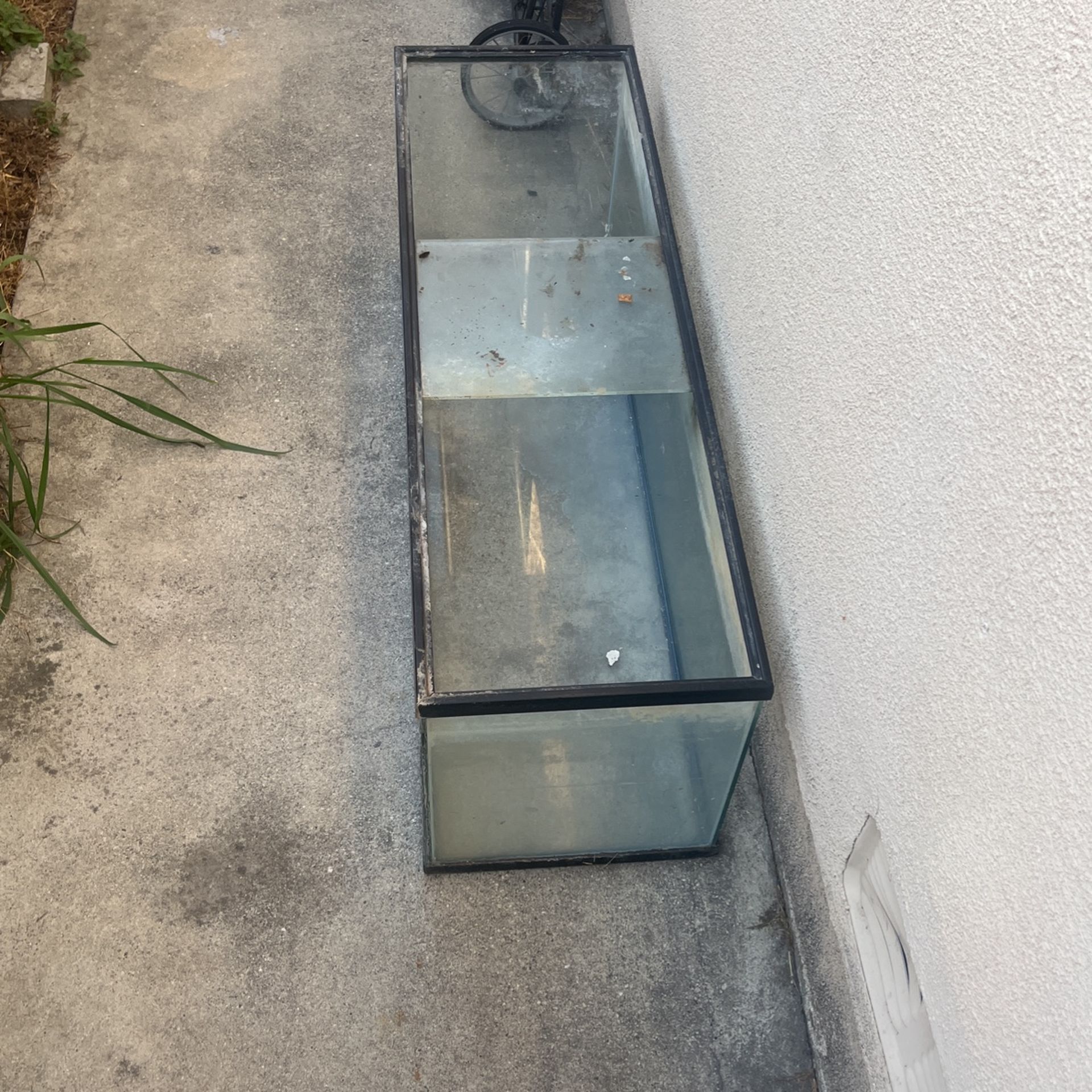 50 Gallon Fish Tank
