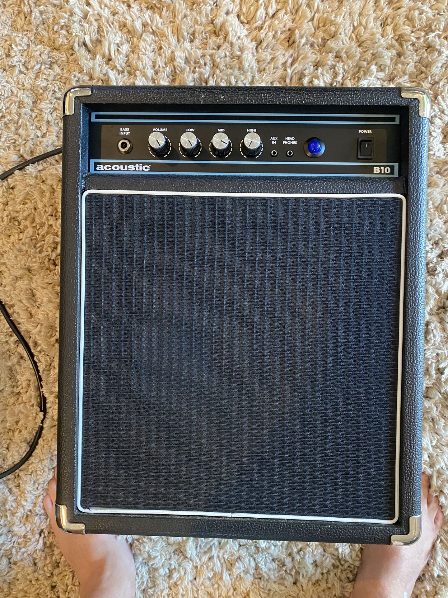 Acoustic B10 Bass Speaker