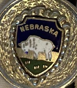 Vintage Metal Bolo Tie, Nebraska, Nice Bull Design, Nice Western Design, 1" x 1", Quality, Heavy Duty, Country & Western, Cowboy, Western Wear, Horse,