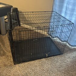 Kennel