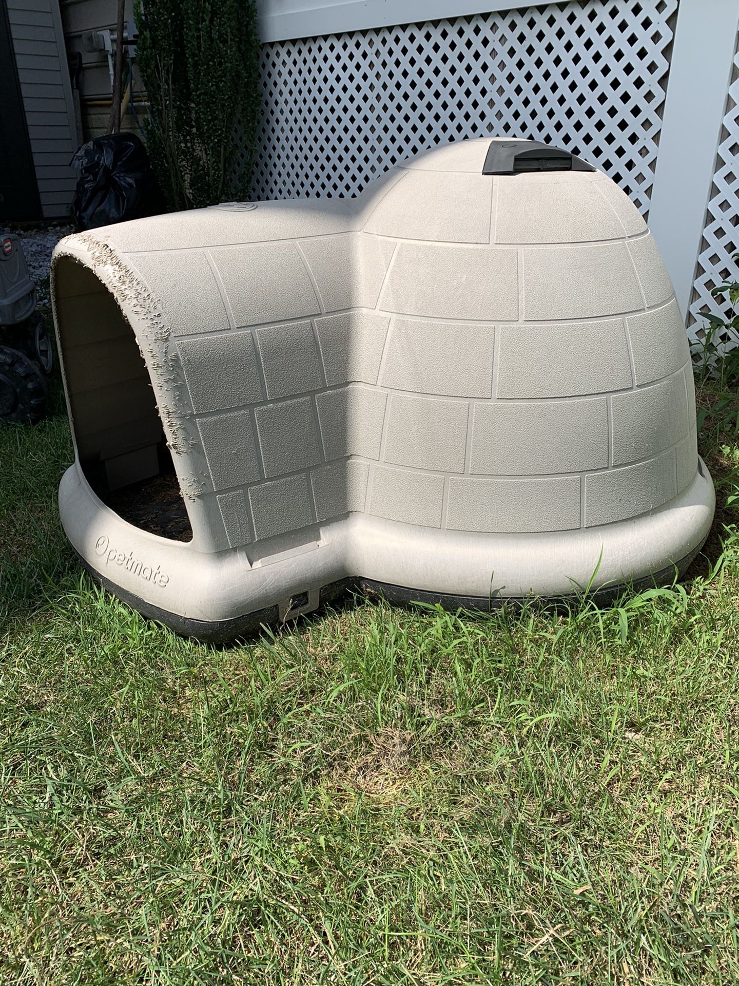 Large Dog Igloo