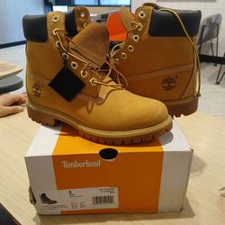 Timberlands Premium 6inch Boots Size 8
