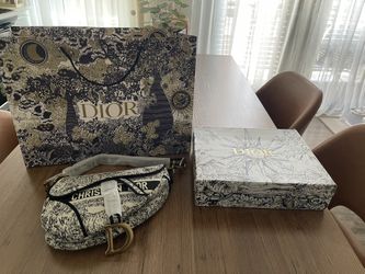 Dior embroidered Saddle Bag/hand Bag