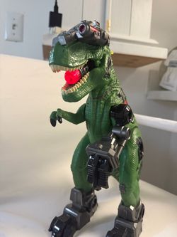 Toy